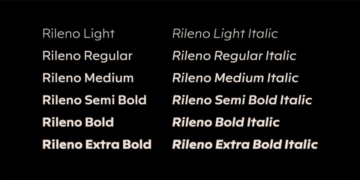 Ejemplo de fuente Rileno Sans Medium Italic